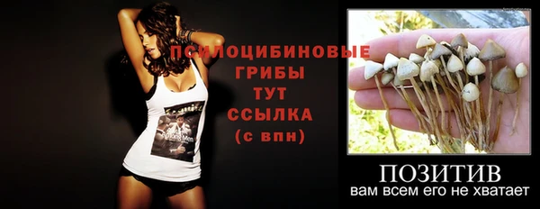 2c-b Лабытнанги