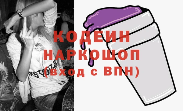 индика Ладушкин